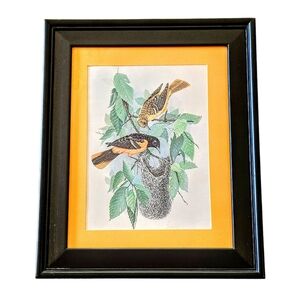 Vintage Frace` Bird Print Framed Matted 14.5x17.5 in